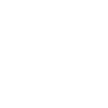 icons8-electric-vehicle-100